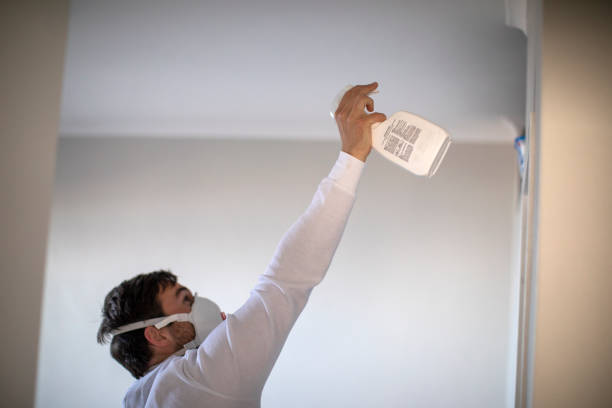 Office Mold Removal Services in Midway, KY