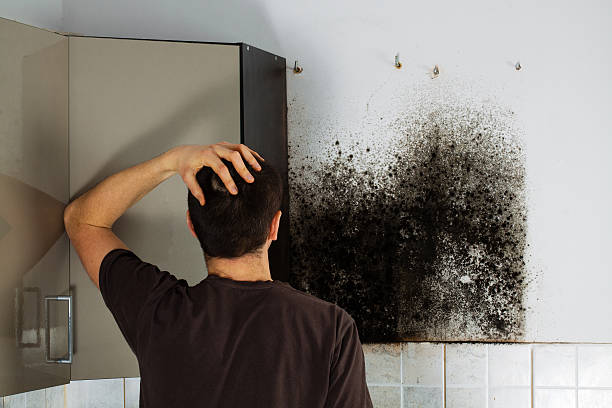 Best Residential Mold Removal  in Midway, KY